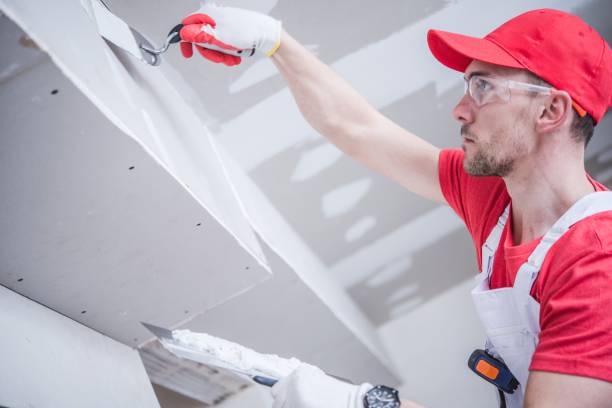 Best Drywall for Remodeling  in Cape Neddick, ME